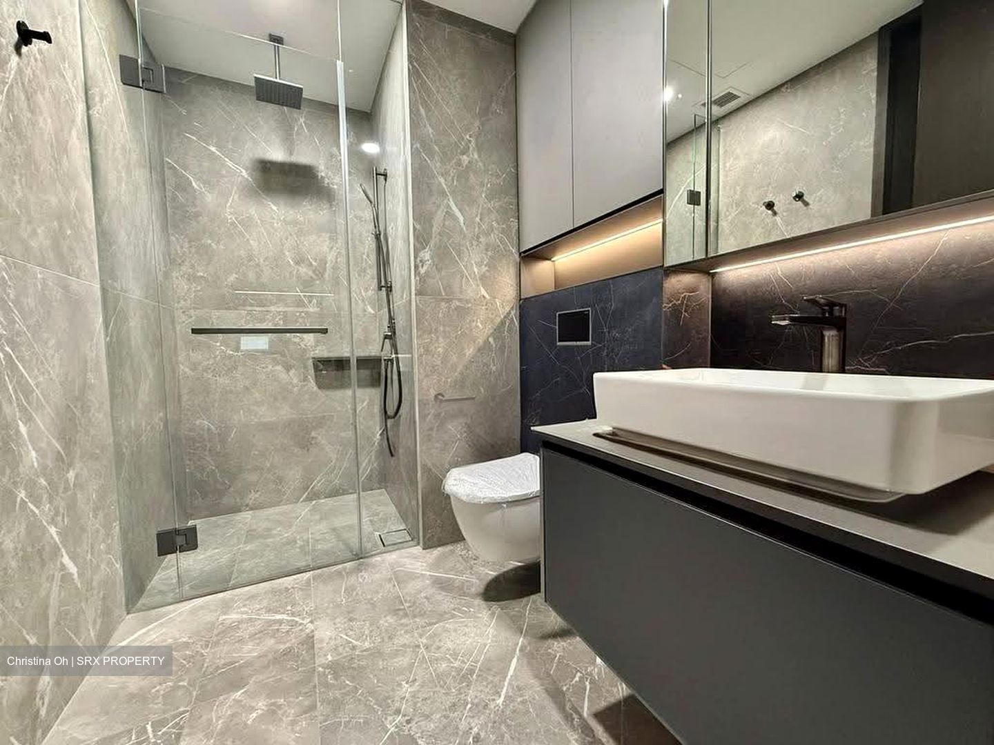 Irwell Hill Residences (D9), Apartment #636955501